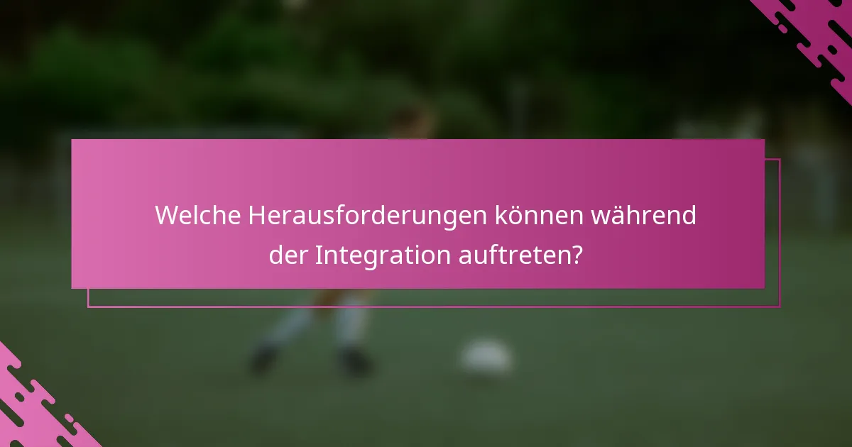 Welche Herausforderungen können während der Integration auftreten?