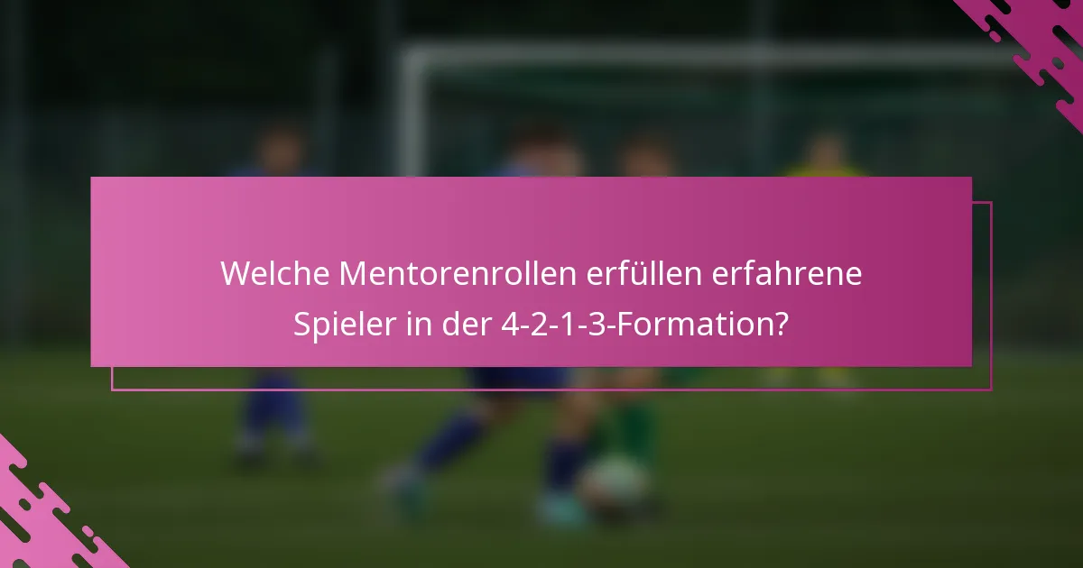 Welche Mentorenrollen erfüllen erfahrene Spieler in der 4-2-1-3-Formation?