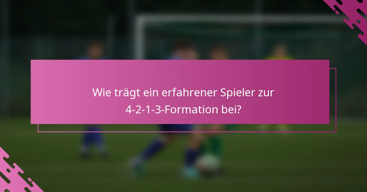 Wie trägt ein erfahrener Spieler zur 4-2-1-3-Formation bei?